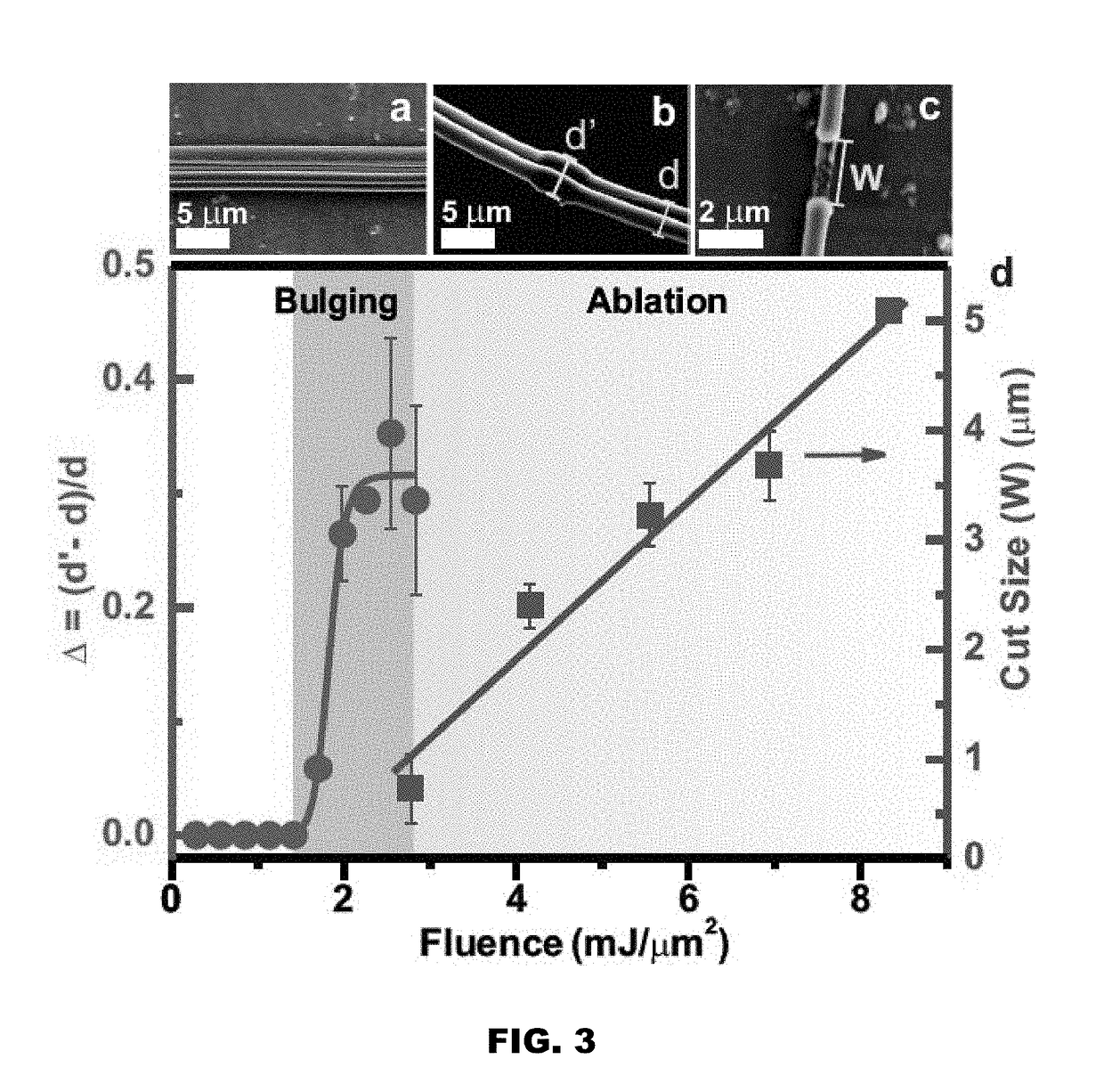 Nanoprocessing and heterostructuring of silk