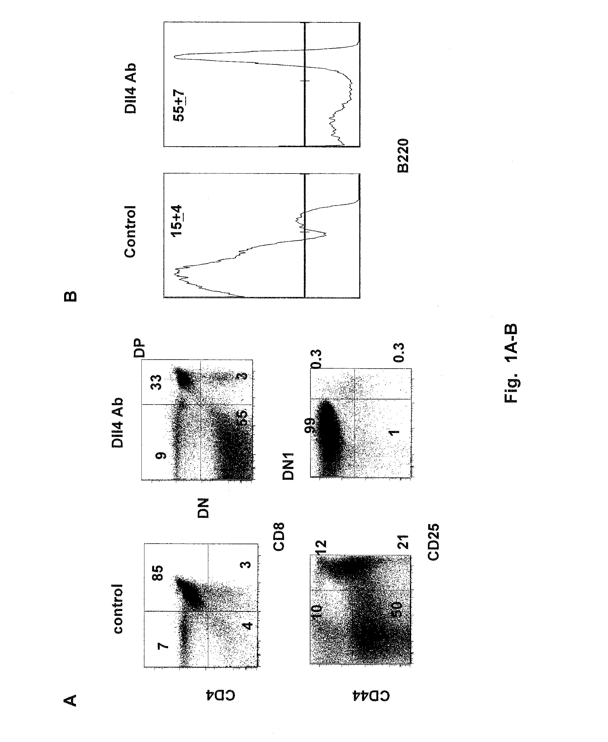 Methods of Treating Autoimmune Diseases with DLL4 Antagonists