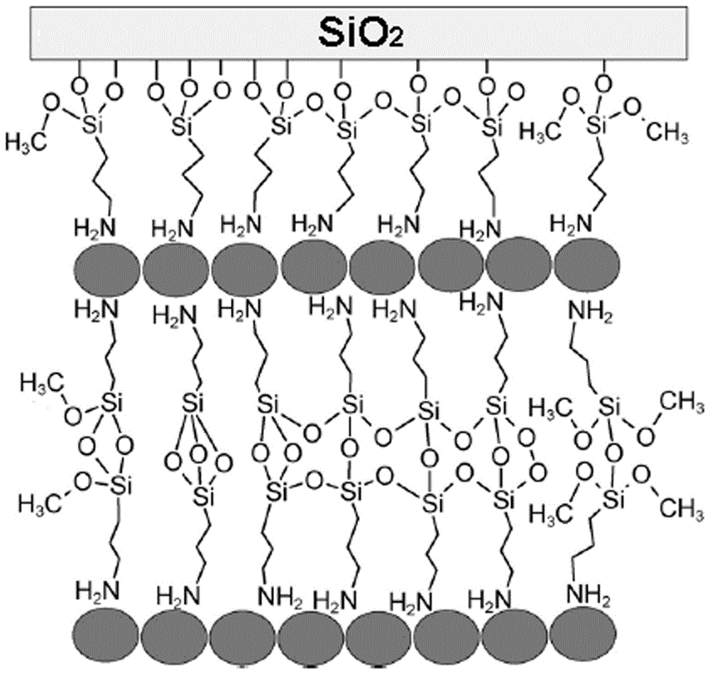 A kind of preparation method of ultrathin metal shell nanoparticle