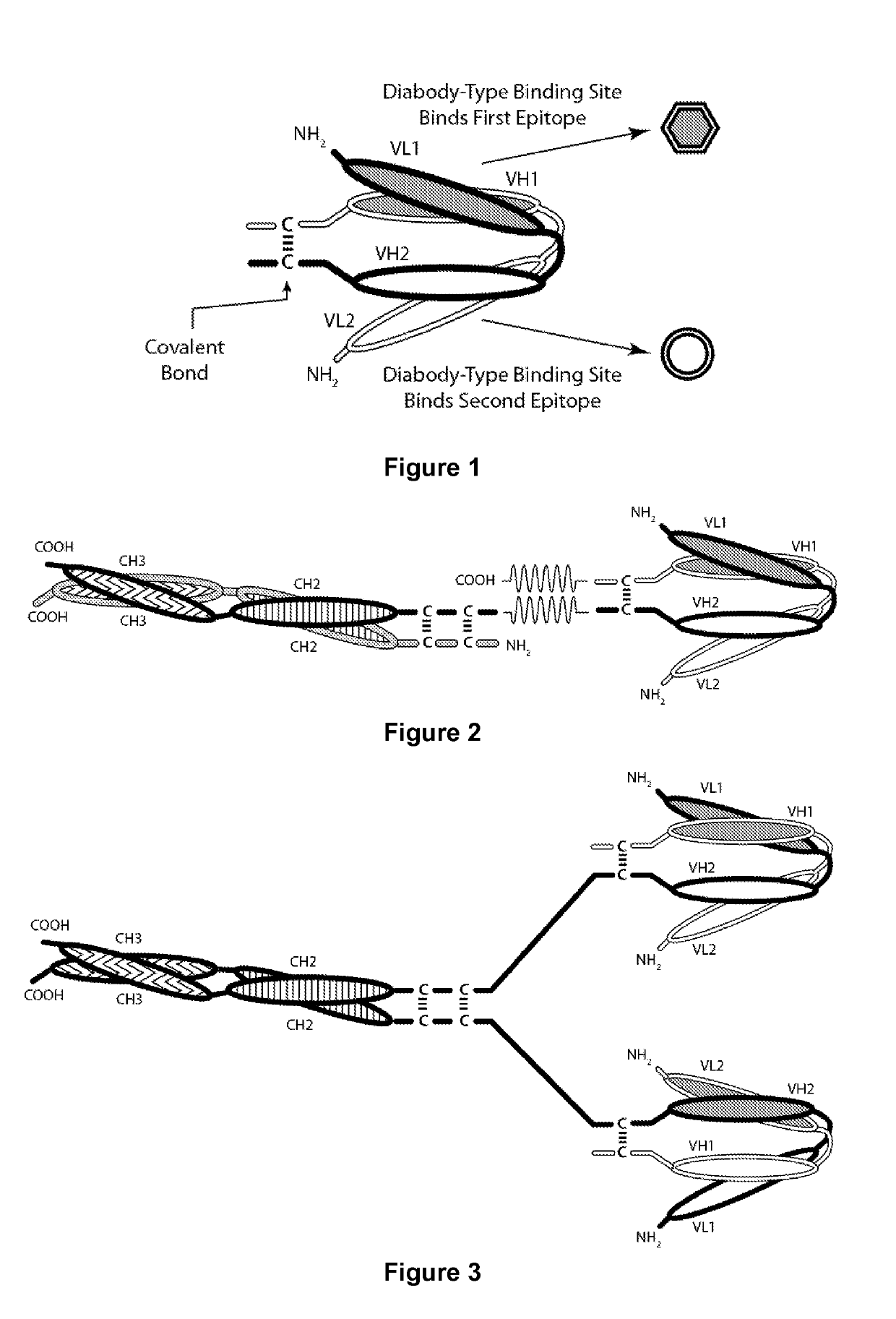 Covalently Bonded Diabodies Having Immunoreactivity with PD-1 and LAG-3, and Methods of Use Thereof