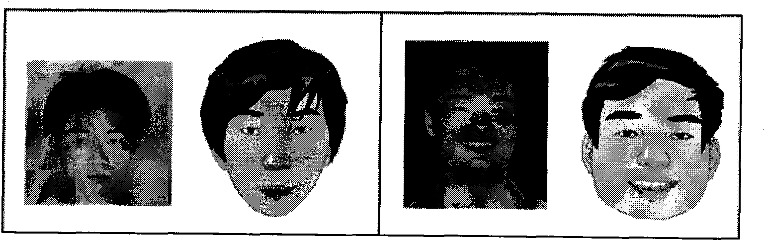 Unified parametrization method of human face cartoon samples of diverse styles
