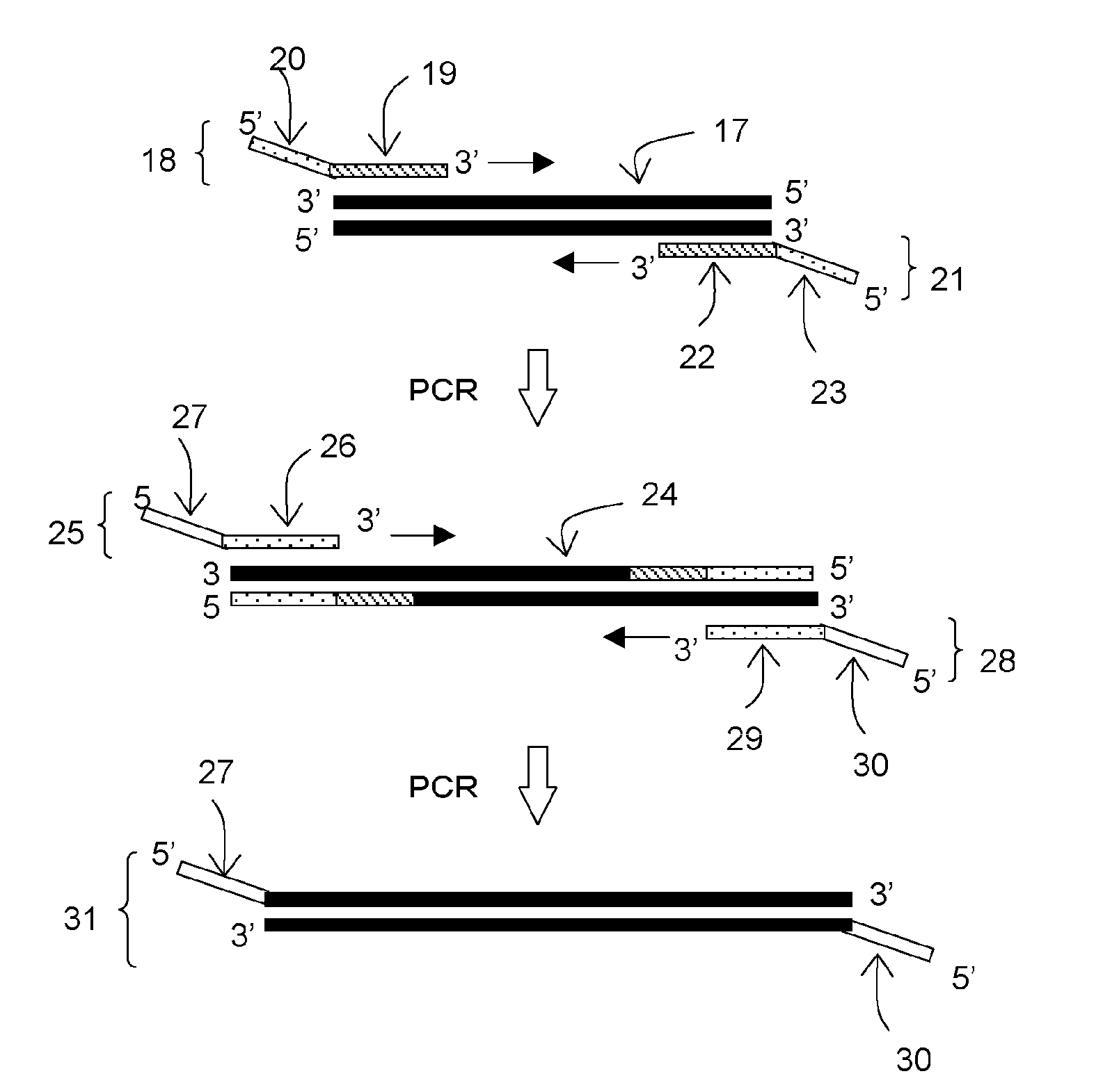 Amplified nucleic acid detection method and detection device