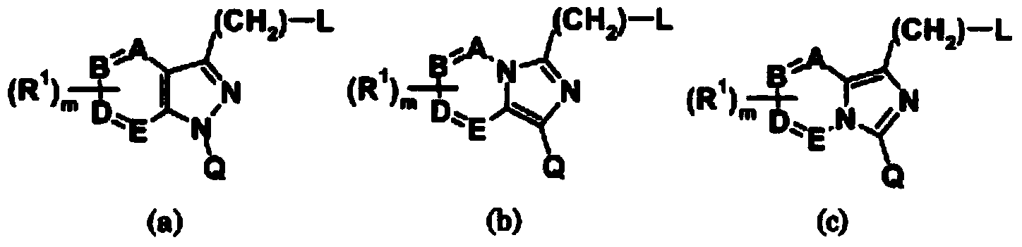 Imidazopyridine compound