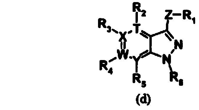 Imidazopyridine compound
