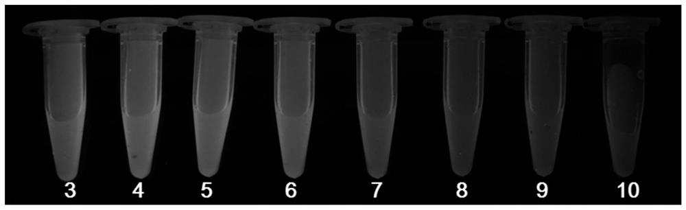 A kind of rare earth carbon nanoparticle and its preparation method and the application of measuring pH value based on fluorescence chromaticity