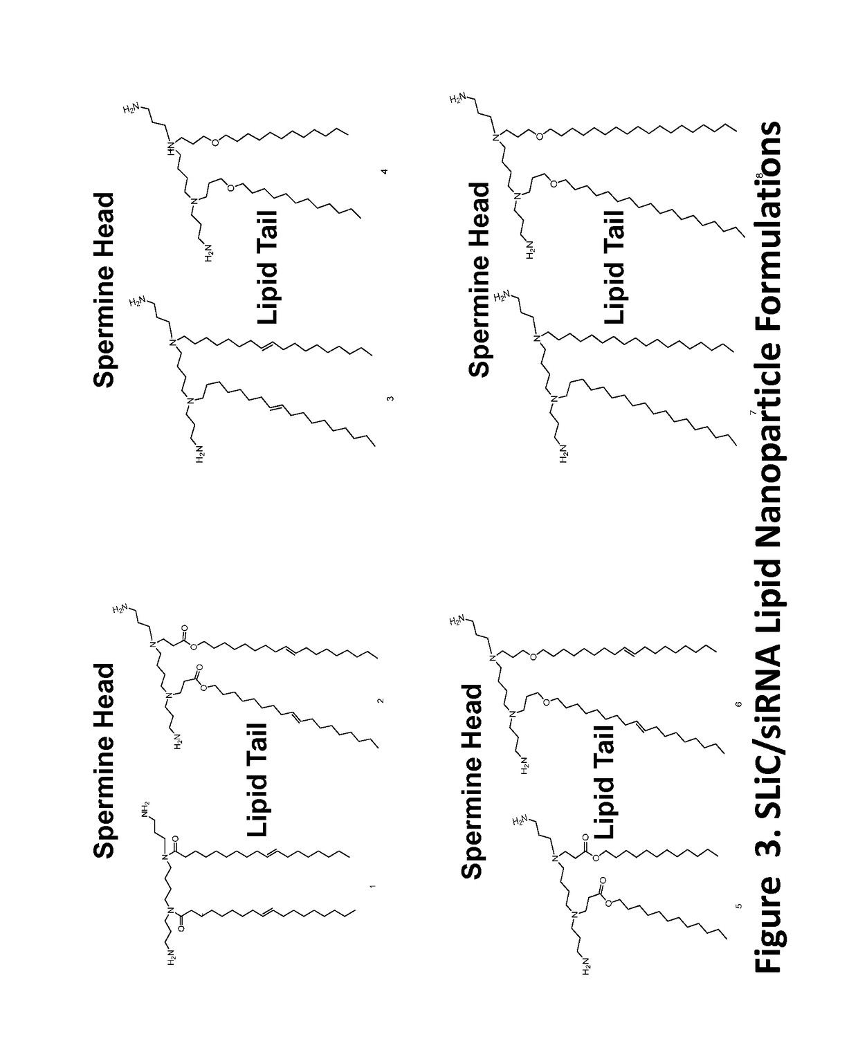 Compositions Comprising Small Interfering RNA Molecules for Prevention and Treatment of Ebola Virus Disease