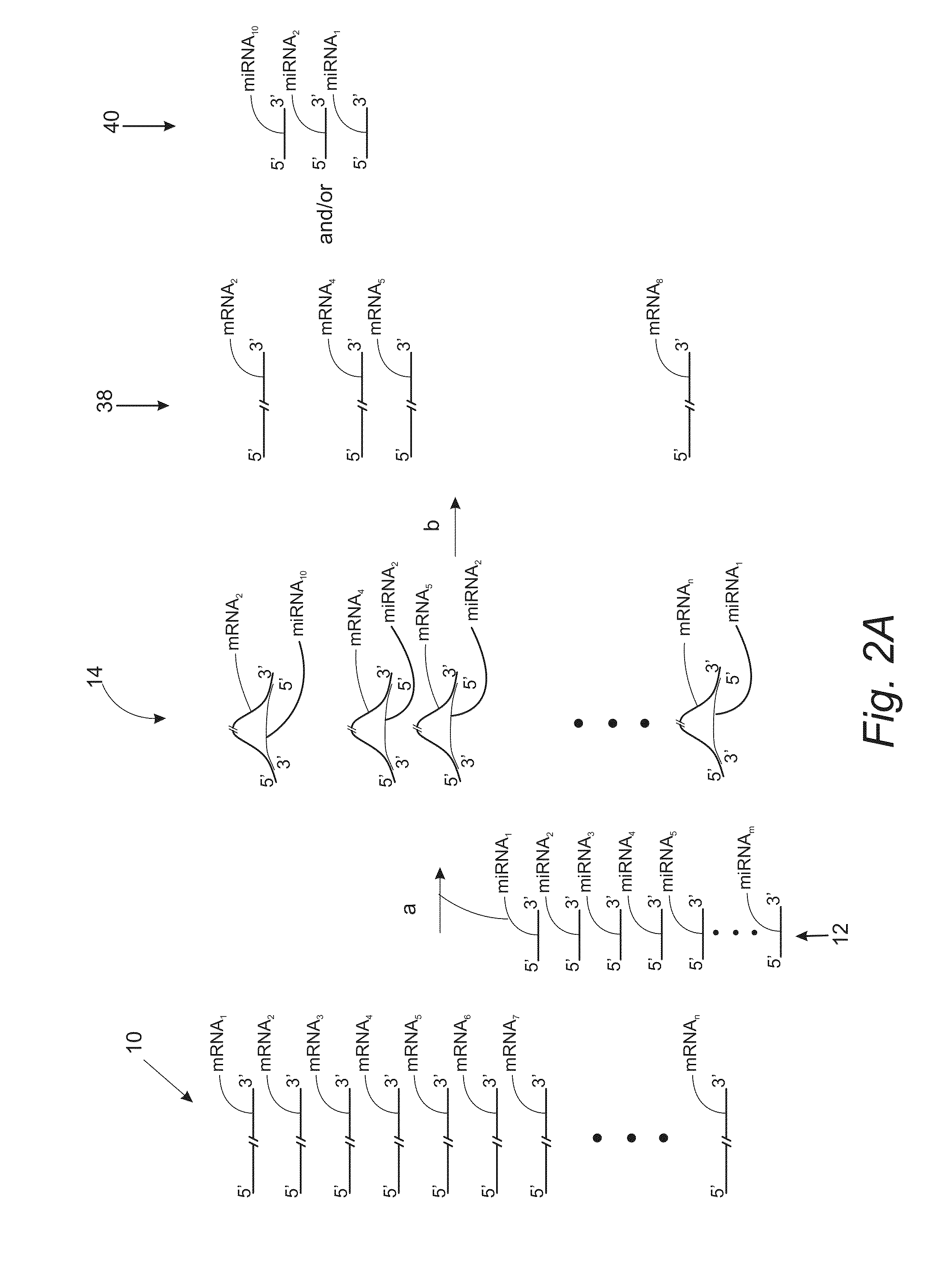 Method of Determining a Diseased State in a Subject