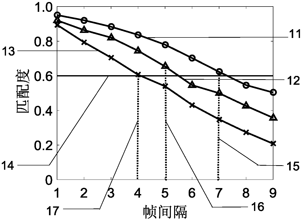 Ultrasonic blood flow velocity field measurement of optimal frame interval tracking estimation