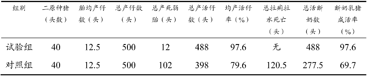 Pure traditional Chinese medicine prescription composition used for purifying breeding sow disease-free pig farms, and avoiding death of sucking pigs with dysentery caused by virus mutants and viruses carried by breeding sows