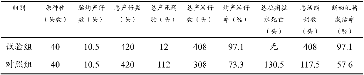 Pure traditional Chinese medicine prescription composition used for purifying breeding sow disease-free pig farms, and avoiding death of sucking pigs with dysentery caused by virus mutants and viruses carried by breeding sows