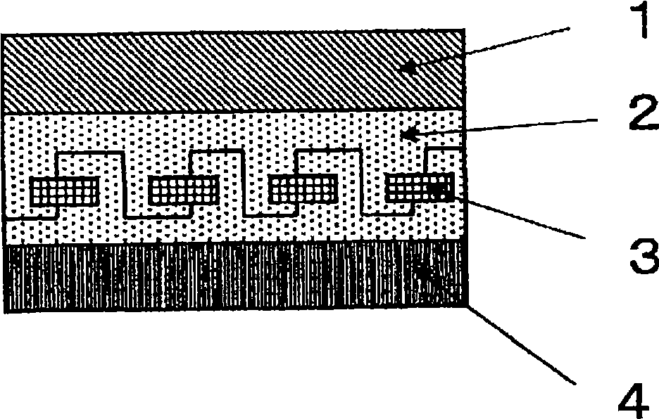 Seal film for solar cell module and solar cell module utilizing the same