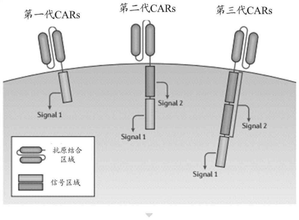 Chimeric antigen receptors and their expression genes, chimeric antigen receptor-modified T cells regulated by dual antigens and their applications