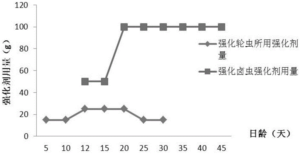 Eco-mark paralichthys olivaceus culture feed and application method thereof