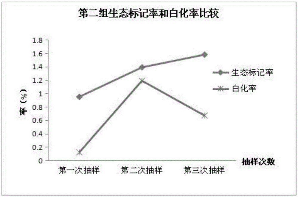 Eco-mark paralichthys olivaceus culture feed and application method thereof