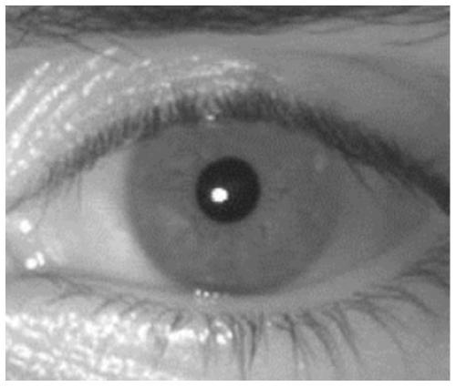 Iris positioning method and computer readable storage medium