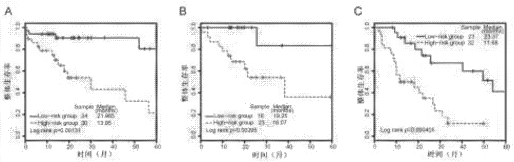 Prognostic Lnc RNA (ribonucleic acid) marker used for predicting liver cancer