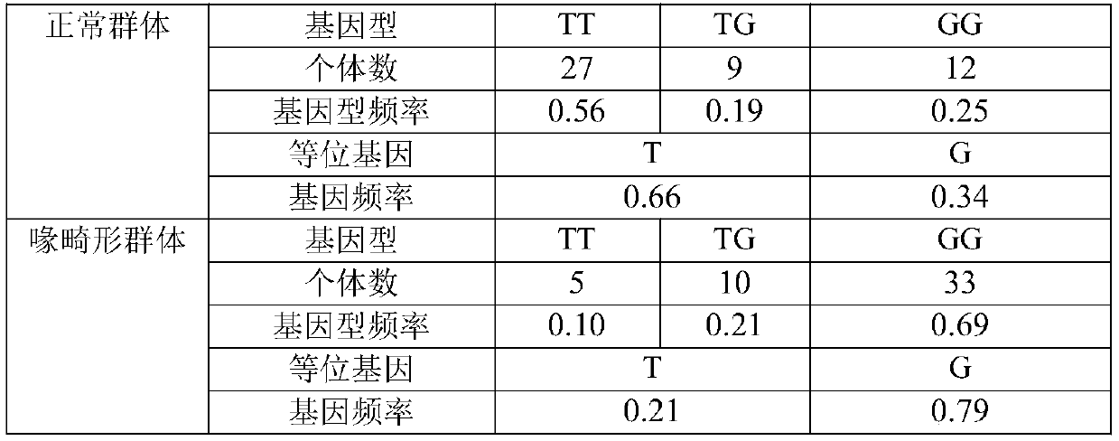 A molecular marker related to chicken beak deformity traits and its application