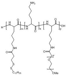 Polyamino acid for targeted delivery of mRNA vaccine and preparation method and application of polyamino acid