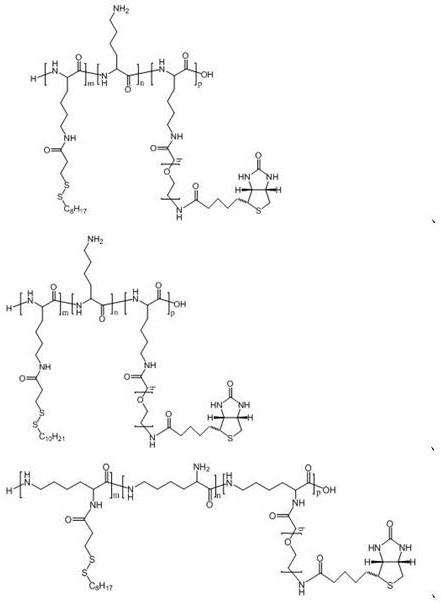 Polyamino acid for targeted delivery of mRNA vaccine and preparation method and application of polyamino acid