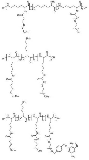 Polyamino acid for targeted delivery of mRNA vaccine and preparation method and application of polyamino acid