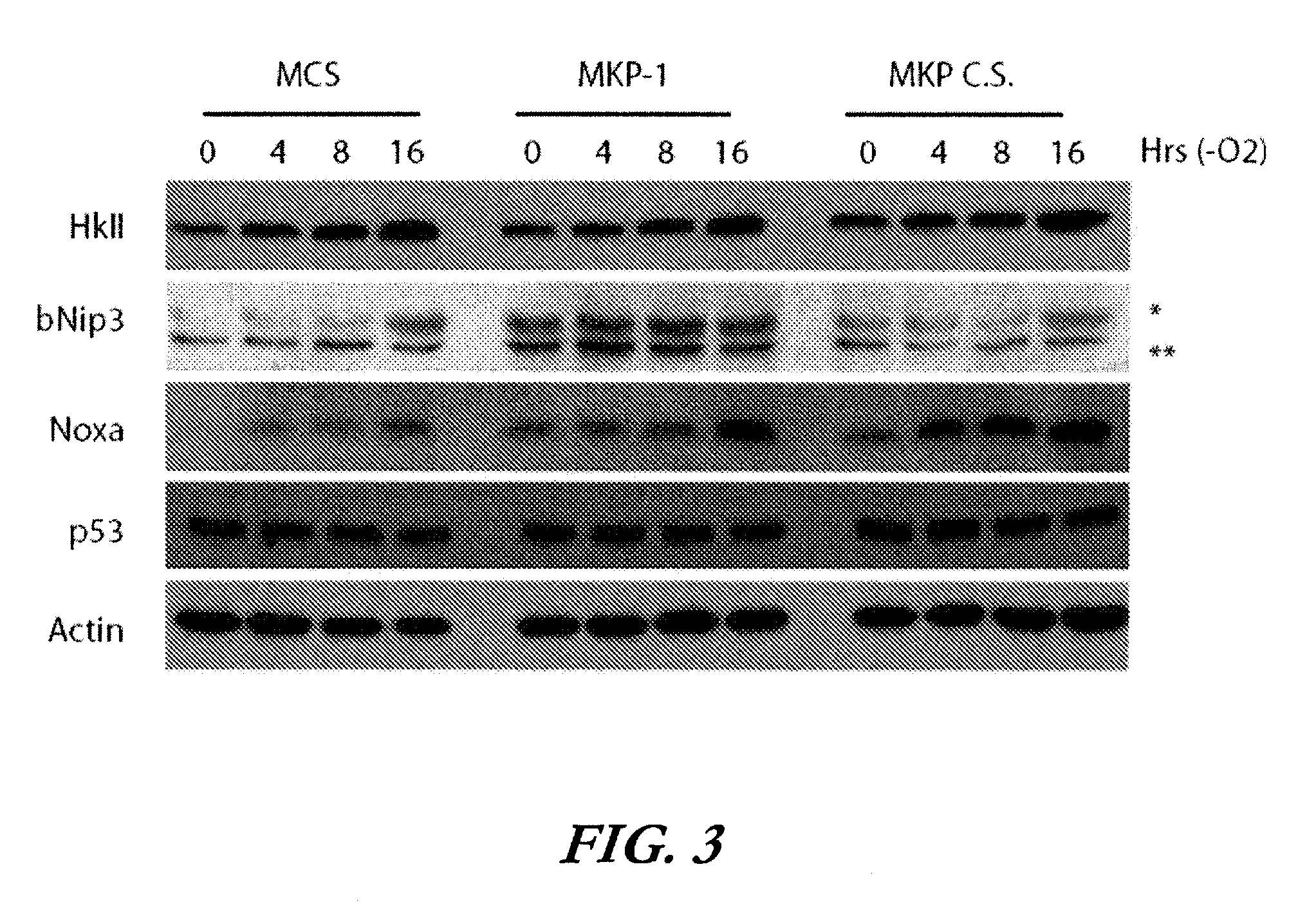 Methods of treatment and screening assays for hif-1alpha regulation