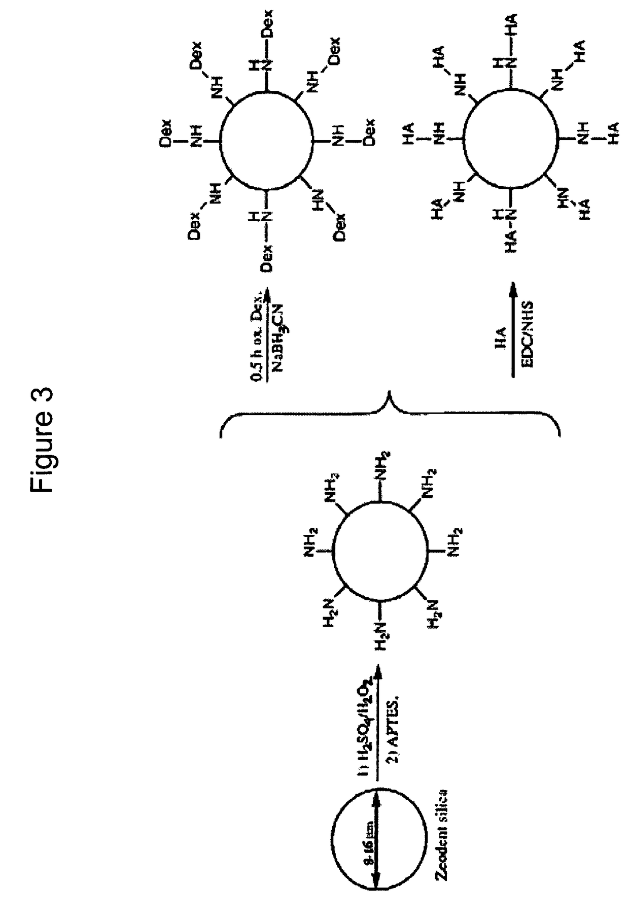 Particles that disrupt or impede bacterial adhesion, related compositions and methods