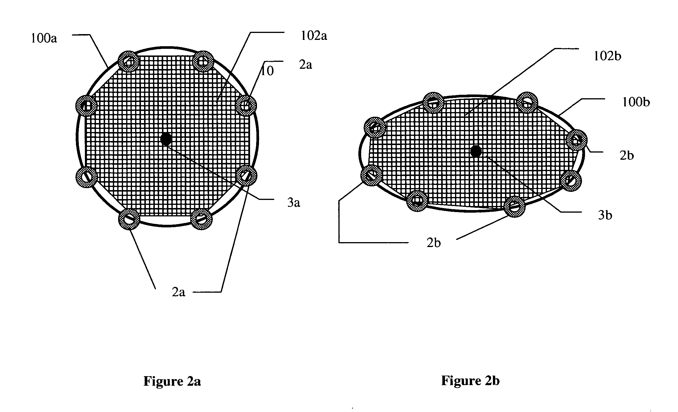 Distal protection apparatus with improved wall apposition
