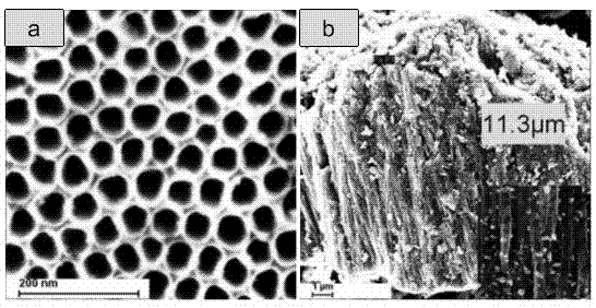 Fabrication method of hydrogen sensor based on composite titania nanotubes