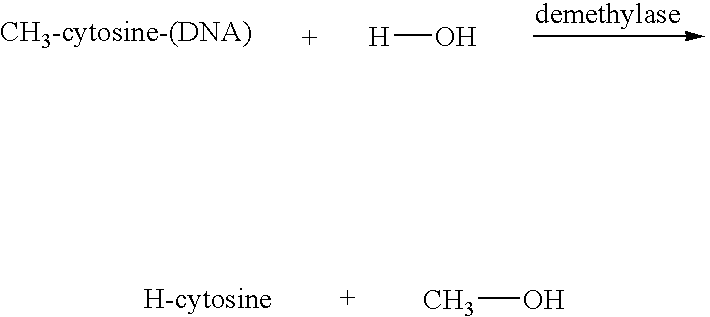 DNA demethylase, therapeutic and diagnostic uses thereof