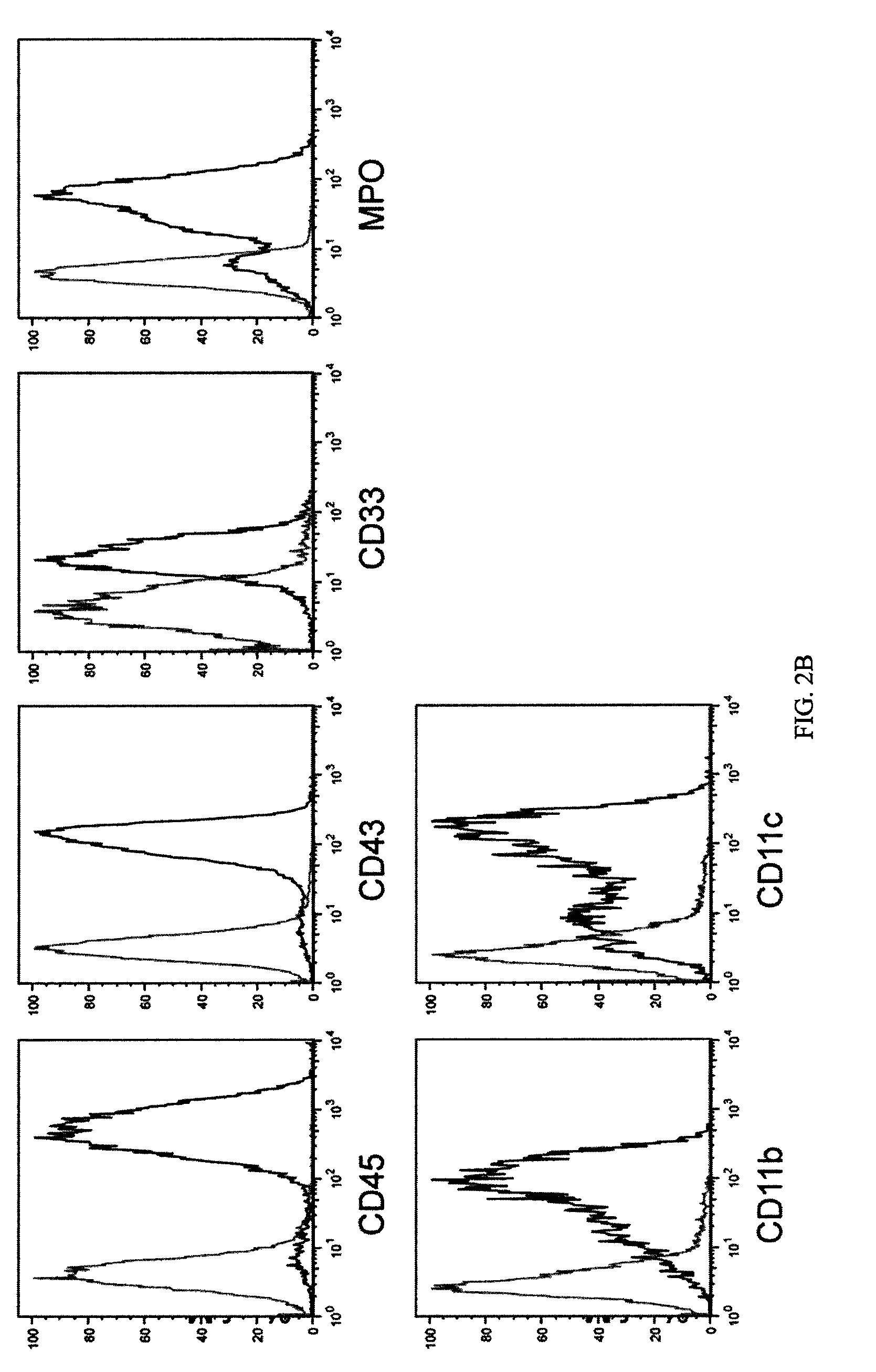 Composition comprising recombinant nucleic acid encoding Sox2, Oct-4, Nanog and Lin28