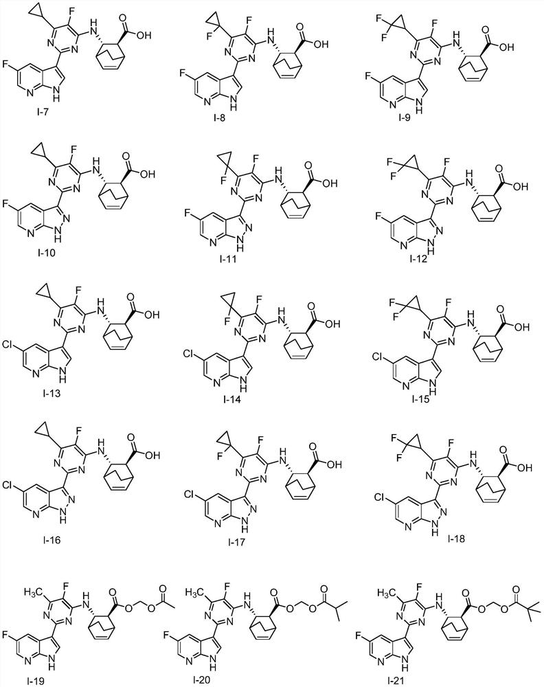 Heterocyclic compounds, their compositions and their use as anti-influenza virus drugs