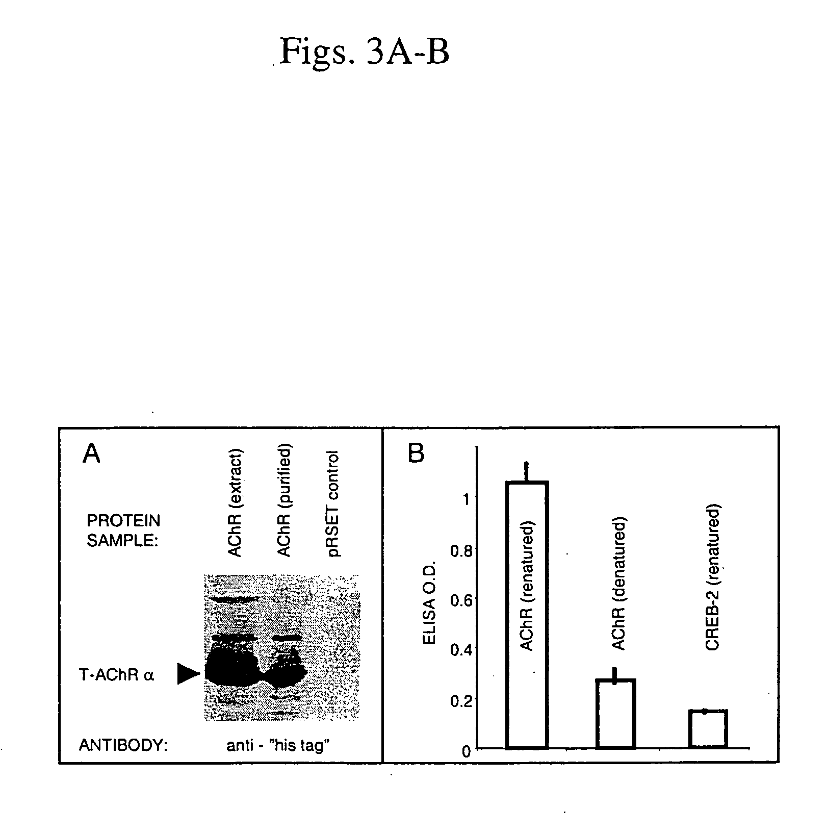Methods and compositions to enhance immune responses via recall antigens