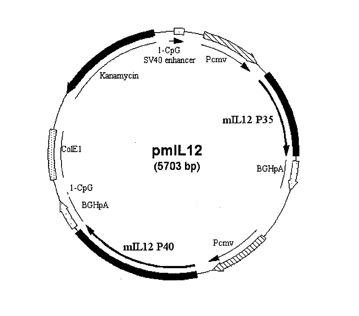 Recombinant plasmid vaccine for treating hepatitis B and composition thereof
