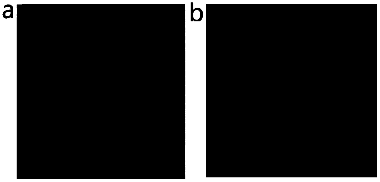 Jean sand-washing method based on light quantum stripping system