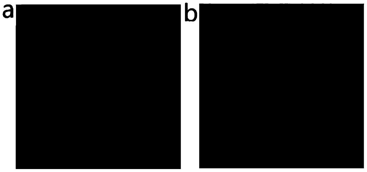 Jean sand-washing method based on light quantum stripping system