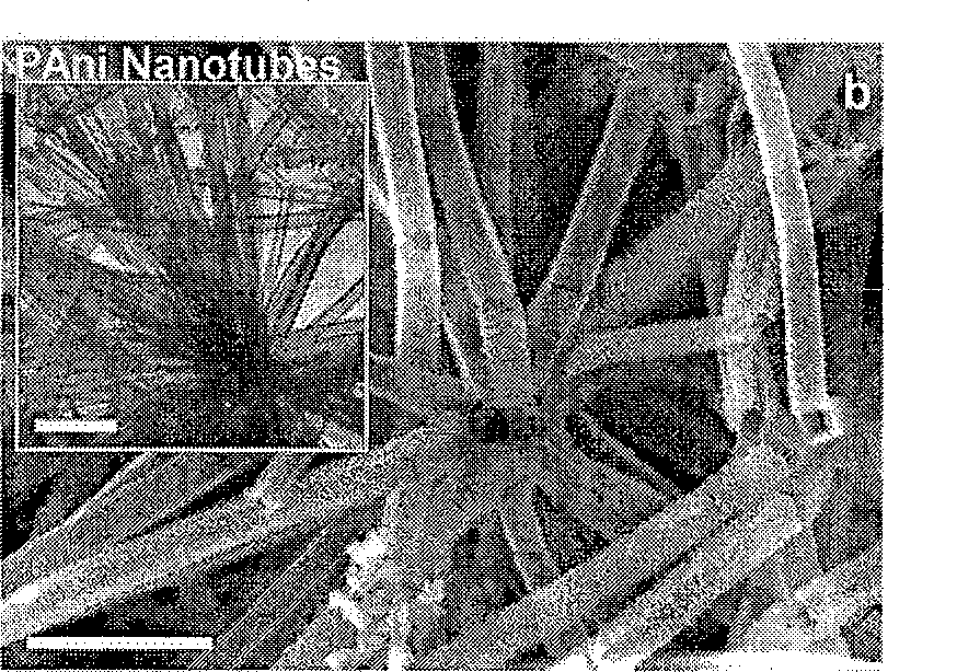 Method for synthesizing controllable template of nano polyaniline tube