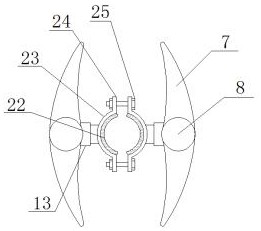 A curved sapling straightening device for forestry planting