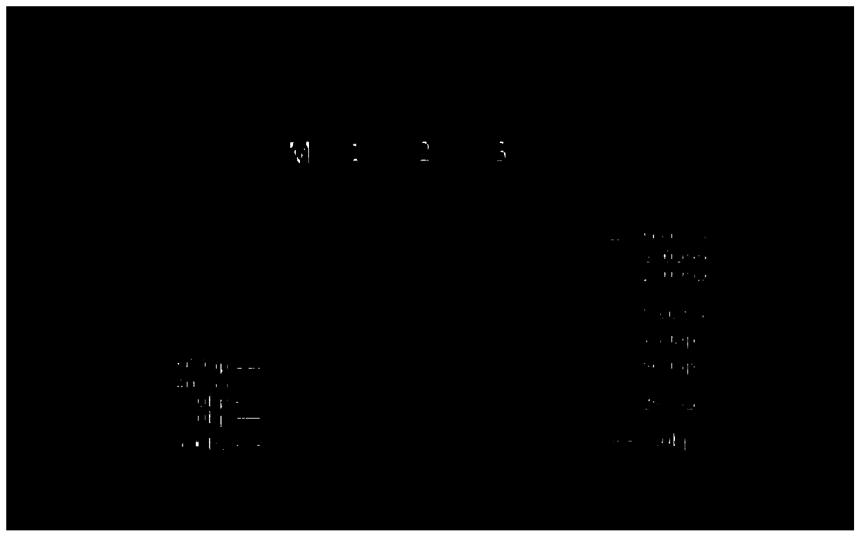 Daunorubicin-containing medicine, preparation method of daunorubicin-containing medicine, medical composition and application of daunorubicin-containing medicine