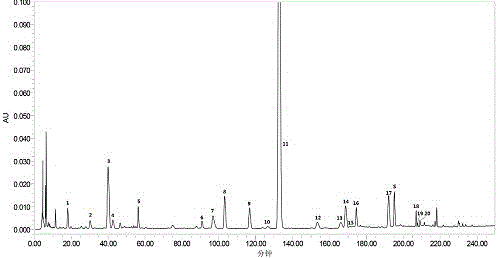 Measurement method of honeysuckle and radix scutellariae granule fingerprint spectrum