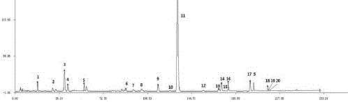 Measurement method of honeysuckle and radix scutellariae granule fingerprint spectrum