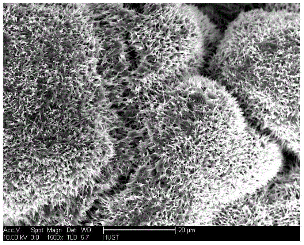 A kind of preparation method of nano copper phosphide