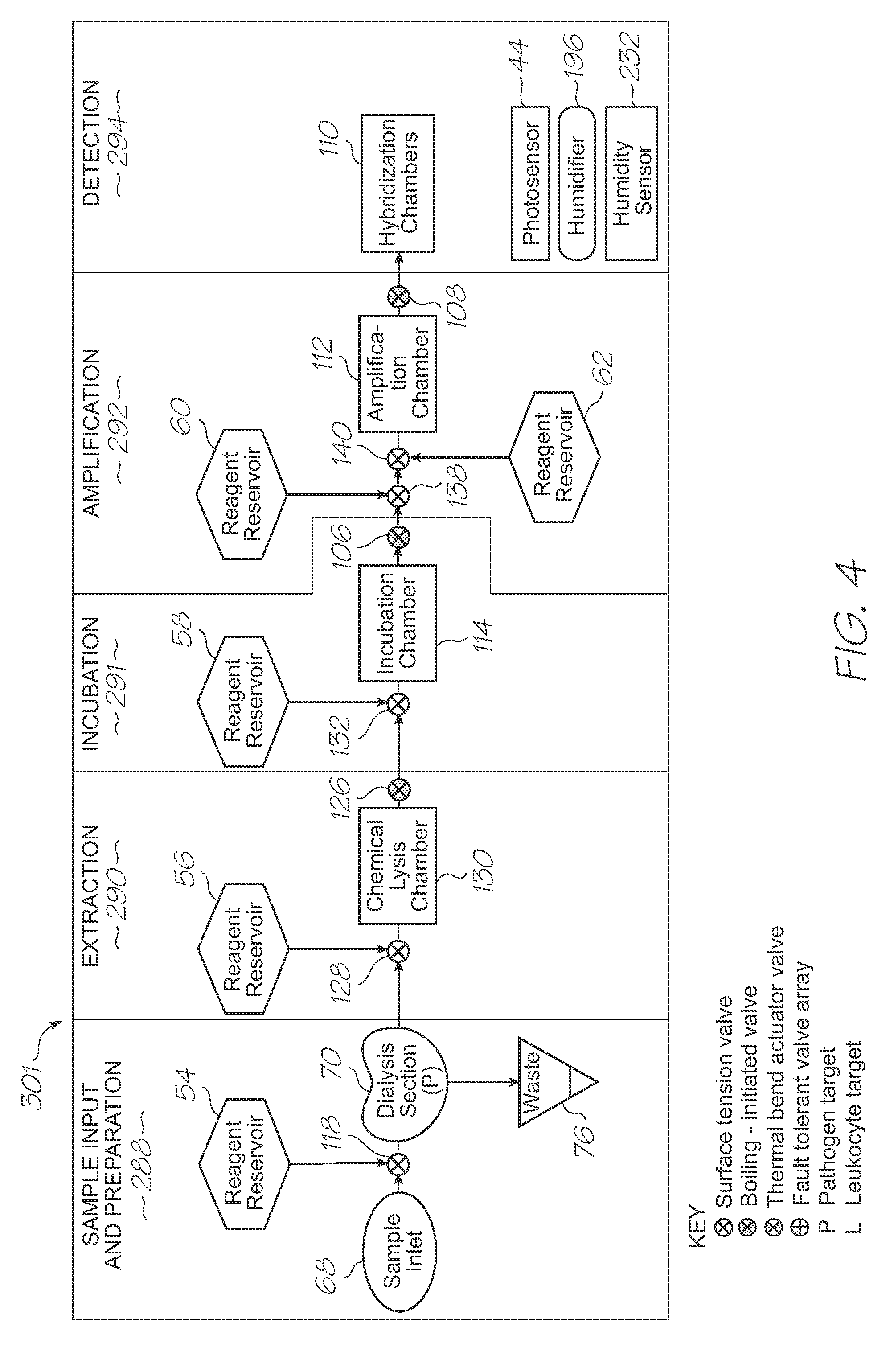 Test module with time delayed detection of fluorescence from hybridized probe