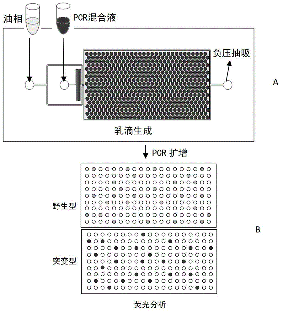 Method for manufacturing digital PCR (polymerase chain reaction) chip based on mineral-oil saturated PDMS (polydimethylsiloxane) material