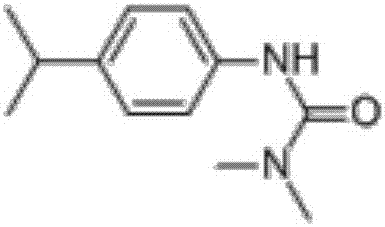 Weeding composition containing benzobicyclon and isoproturon and application thereof