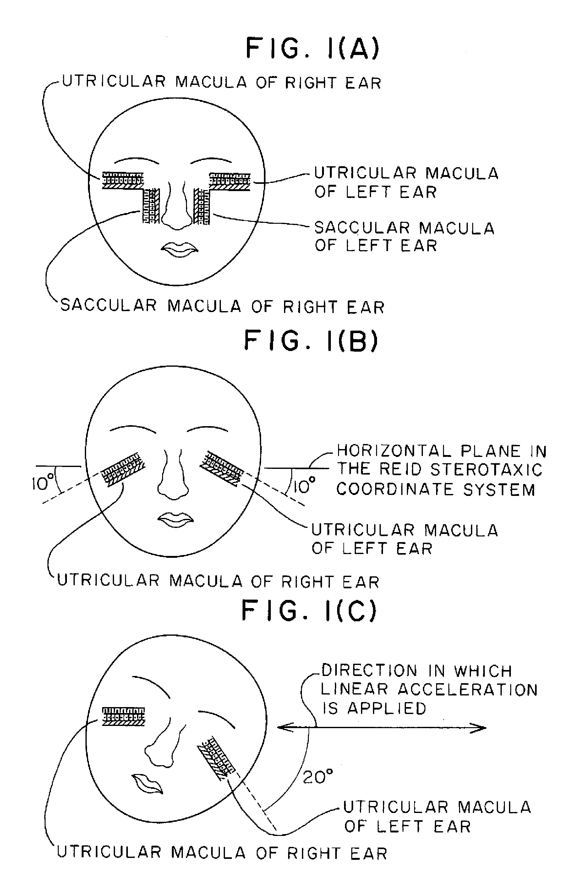 Methods and apparatuses for stimulating otolith organs by linear acceleration