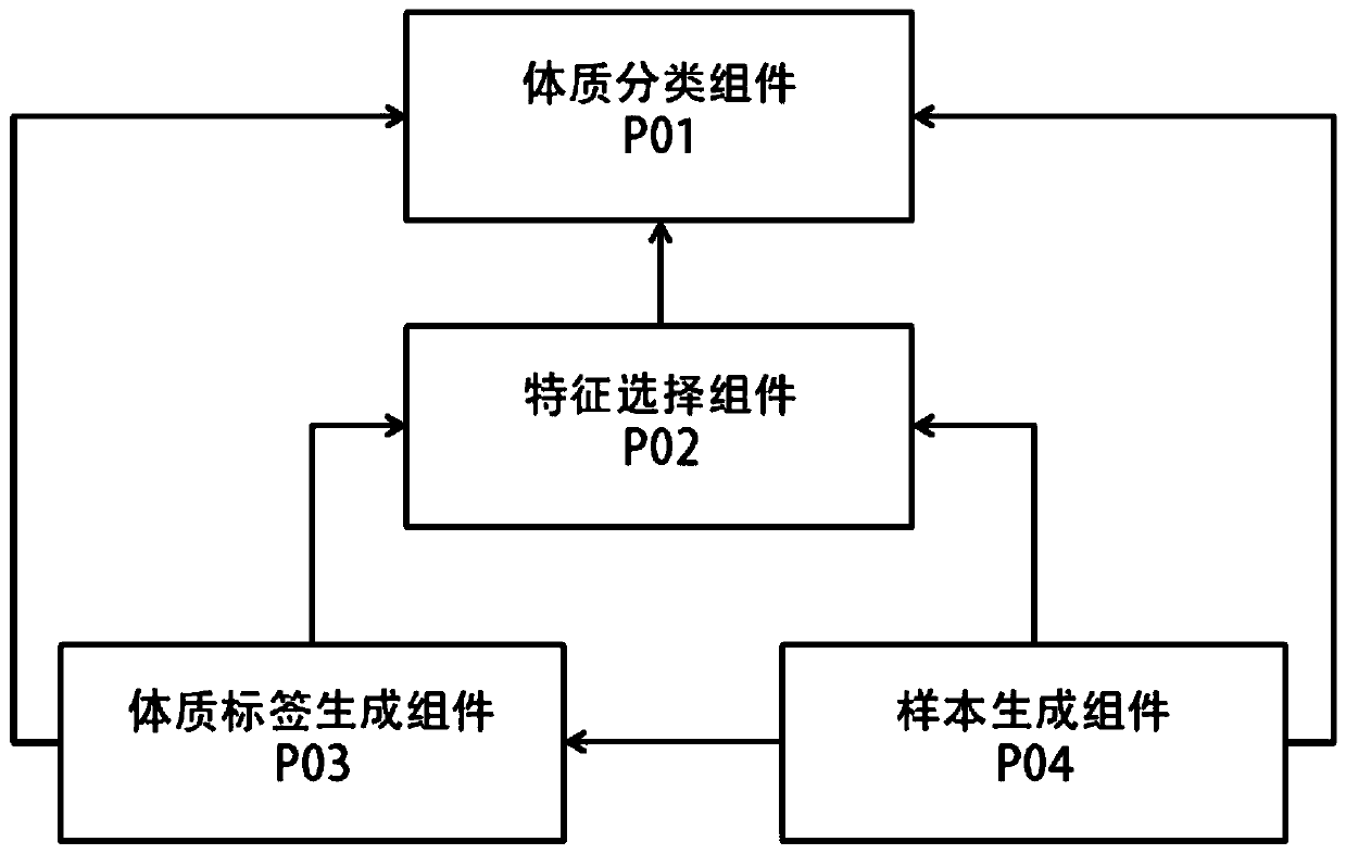 A physique recognition method based on feature selection and a classification model