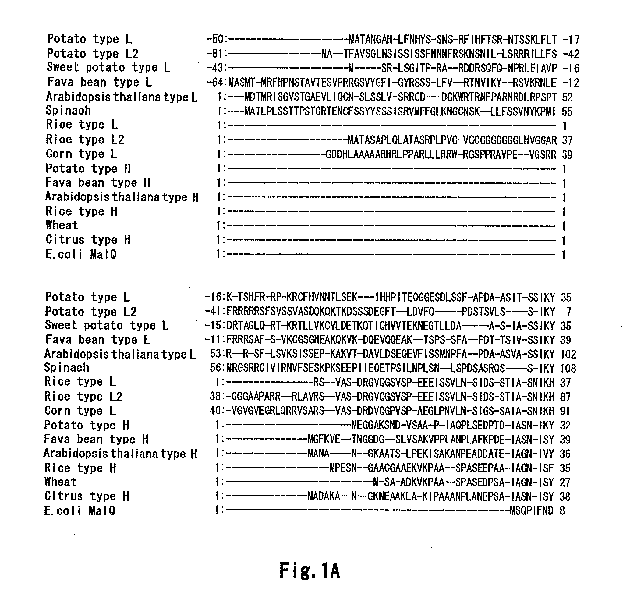 METHOD OF HEAT-STABILIZING alpha-GLUCAN PHOSPHORYLASE (GP)