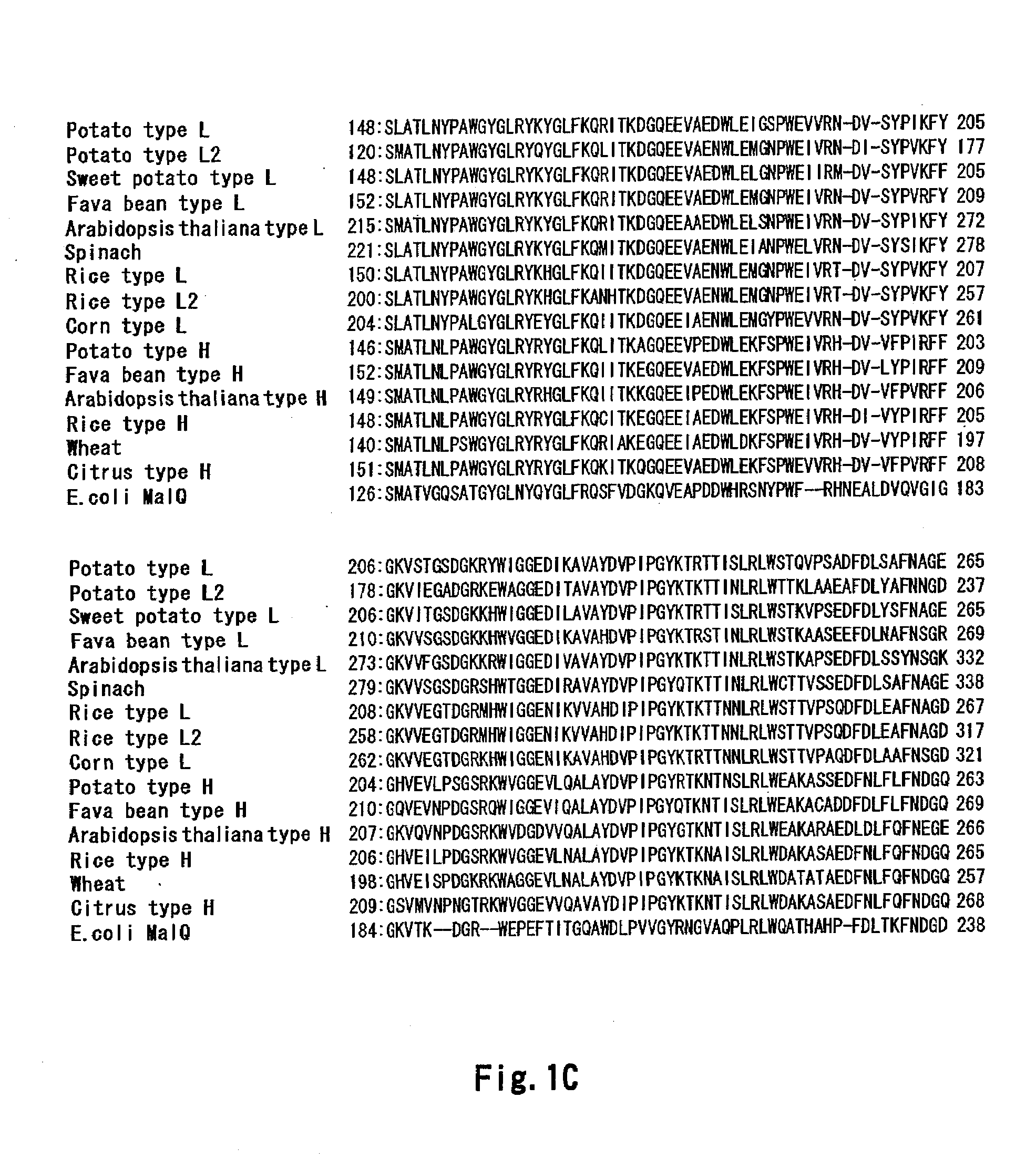 METHOD OF HEAT-STABILIZING alpha-GLUCAN PHOSPHORYLASE (GP)