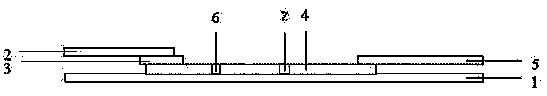 Preparation method and application of immunochromatographic test strip for detecting caffeine residues