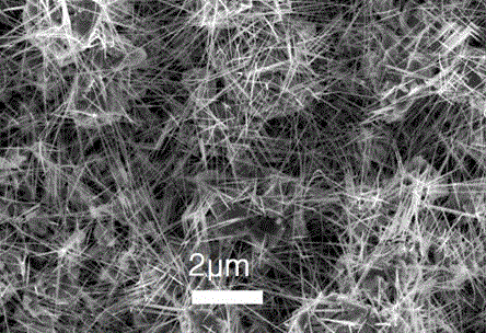 A method for preparing silicon-doped titanium oxide nanowires with superhydrophilic properties